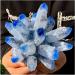 Crystal Rough New Find Sky Blue Phantom Quartz Crystal Cluster Specimen (Size : 400-500g) - Buy Online on GoSupps.com