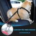 Slowton 2-in-1 Dog Car Belt - Adjustable Headrest Clasp & Reflective Rubber Band for Safe Travel | Universal Fit Schwarz - Buy Online on GoSupps.com