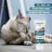 AMIEZPET Cat Malt Paste - Antihairball Formula with Taurine & Grass | 100g for Healthy Digestion & Hairball Control - Buy Online on GoSupps.com