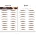 120 Pairs Eyebrow Tattoos Stickers Eyebrow Water Transfers Stickers Hair-Like Waterproof Eyebrow Stickers for Brow Grooming Shaping brown - Buy Online on GoSupps.com