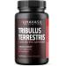 Buy Tribulus Terrestris for Men (95% Saponins) with Maca Root - 1 000 mg Male Performance Support Capsules - 90 Count - International Shipping Available - Buy Online on GoSupps.com