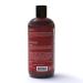 Jamaican Black Castor Oil Extreme Hydration & Detangling Shampoo - 12 Oz | Prevent Hair Damage, Get Silky Soft Shine | For Men & Women, All Hair Types - Buy Online on GoSupps.com