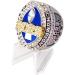 Buy Lluch 2023 FFL Champion Ring - Fantasy Football Award | Championship Rugby League Gifts & Office Souvenirs - Buy Online on GoSupps.com