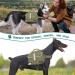 PETAMI Large Olive Green Dog Saddle Bag for Medium-Sized Dogs | Travel Vest & Canvas Dog Sac - Buy Online on GoSupps.com