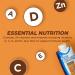 Pure Protein Chocolate Peanut Butter Shake | 30g Protein | Ready-to-Drink Keto-Friendly | Immune Boosting Vitamins | 11oz Bottles - 12 Pack - Buy Online on GoSupps.com