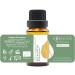 Organic Eucalyptus Essential Oil 15ml - 100% Pure & Natural Therapeutic Grade | Aromatherapy & Cosmetics | Cruelty Free & Non-GMO - Buy Online on GoSupps.com