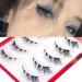Okdeals 5 Pairs Cat Eye Fox Lashes - 3D Natural Look & Fluffy Anime Cosplay Extensions for Manga | Curled Winged Lashes - Buy Online on GoSupps.com