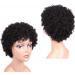 Ifly Afro Wig - Brazilian Human Curly Wig for Black Women | Short 6 Kinky Curly Real Hair Wigs - Buy Online on GoSupps.com