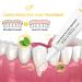 Liacsy 7 Day Active Gum Treatment - Antibacterial Gel for Clean Gums & Stain Removal | International Shipping - Buy Online on GoSupps.com