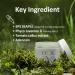 Ronas TOX Volume Cream - Best Anti-Wrinkle Cream for Fine Wrinkles (3.38oz) | Improve Skin Smoothness & Firmness | Shop Internationally - Buy Online on GoSupps.com