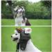 Dog Aviator Hat | Winter Pilot Hat with Ear Flaps for Cold Weather | Stylish Coffee Dog Gear - Buy Online on GoSupps.com