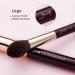 Jessup 20pcs Zinfandel T281 Makeup Brush Set - Professional Soft Natural Bristle for Foundation, Eyeshadow, Blush, and Concealer - Buy Online on GoSupps.com