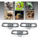 Serenable 3 PCS Reptile Amphibians Chameleon Lizard Feeding Ledge Bowls Double Dish with Suction Cup - Buy Online on GoSupps.com