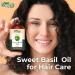 Organic Zing Sweet Basil (Ocimum basilicum) Oil Pure & Natural for Skin Face Hair Care Aromatherapy Diffuser Conditioner - 30ml/1.01fl oz - Buy Online on GoSupps.com