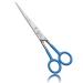 Professional Hairdressing Scissors Hair Cutting Scissors Shears for Barber Salon Home - with Antibacterial Comfort Rubber Grip 100% Stainless Steel (Blue)