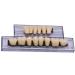 Angzhili Dental Synthetic Acrylic Resin False Teeth Halloween Horror Denture Set A3 (168pcs) - Buy Online on GoSupps.com