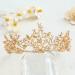 Yean Gold Wedding Crown Baroque Vintage Rhinestone Tiara for Women and Men - Buy Online on GoSupps.com