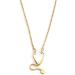 Stainless Steel Stethoscope Necklace | Unique Nurse & Doctor Jewelry | Perfect Gift for Healthcare Professionals - Buy Online on GoSupps.com