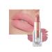 Matte Lipsticks for Women Long Lasting Waterproof Moisturizer Pink Lipstick Non Stick Cup Velvet Lipstick Not Fade Matte Lip Gloss Tinted Lip Balm for Girls & Women (#601 Nudist Pink)