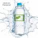 Peas in a Pod Twin Girl Baby Shower Water Bottle Sticker Wrappers - 20 Waterproof Labels 1.75 x 8.5 by AmandaCreation - Buy Online on GoSupps.com