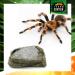 Terra Exotica Water Gel 250ml & 1000ml - Secure Water Supply for Insects Spiders & Scorpions - Buy Online on GoSupps.com