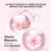 Cherry Blossom Body Lotion 250ml | Body Care for 24h Hydration | Moisturizer| Body Care | Skin Conditioner | Moisturizing Lotion - Buy Online on GoSupps.com