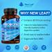 ACIDOPHILUS PROBIOTIC 365: High Strength Digestive Health Supplement - Vegan, GMO-Free, Gluten-Free - GMP UK Made - Buy Online on GoSupps.com