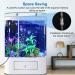Buy Bedee Quiet Aquarium Air Pump 35 dB | 1W Energy-Saving Oxygen Pump for Fish Tank Up to 50L - Free International Shipping! - Buy Online on GoSupps.com