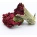 LWXLJMJZC Dried Carnation Flower Tea Loose Leaf Carnation Herbal Tea Healthy Blooming Flower Tea 2.47oz/70g 70g Carnation Flower Tea - Buy Online on GoSupps.com