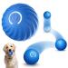 Ball interactive dog toy ball self -strolling ball dog Wicked Ball Dog interactive dog toy ball interactive dog ball toys hard -wearing automatic roller ball blue