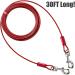 BV Pet Tie Out Cable for Dogs | Up to 250lbs | 30ft | Red - Buy Online on GoSupps.com