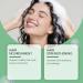  homomdy Natural rosemary shampoo for dry and thinning hair strengthening and volumizing shampoo gentle cleanser for damaged hair moisturizing and nourishing leaves hair refreshed (2 pcs) - Buy Online on GoSupps.com