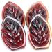 Palm Leaf Glass Jewels for Tiffany Style Crafting - 24x37mm Red - Buy Online on GoSupps.com