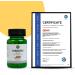 Vanan Turmeric Capsules | Pure Turmeric & Black Pepper | Herbal Turmeric Supplement for Skin & Respiratory System - Buy Online on GoSupps.com