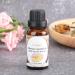 Essential Ginger Oil - Cold & Relaxing Body Massage Oil for Foot Shoulder & Neck - 20ml | International Shipping - Buy Online on GoSupps.com