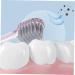 ULTECHNOVO Manual Toothbrush Set - 6 Crystal Clear Brushes for Adults & Pets | Travel-Friendly Hygiene Solution - Buy Online on GoSupps.com