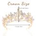 Kilshye Queen Crown - Gold Butterfly Rhinestone Tiara for Bridal Wedding & Prom - Buy Online on GoSupps.com