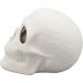 5x4 Inch Skull Ceramic Bisque - Paint Your Own Pottery Kit Included - Buy Online on GoSupps.com