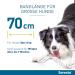 Elanco Seresto Collar for Large Dogs (8 kg+) | 7-8 Months Flea & Tick Protection | 70 cm Length - Buy Online on GoSupps.com