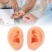 Teaching Ear Model Waterproof Simulated Long Lasting Ear Model Soft Silicone for Store for Suppliers - Buy Online on GoSupps.com
