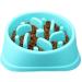 Wisspet Slow Feeder Pet Bowl - Healthy Bloat Prevention for Dogs and Cats - Fan Shape Blue - Buy Online on GoSupps.com