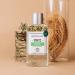 1902 Vetiver Eau de Cologne | Aromatic Fern Long Lasting Scent Made in France | Spray Fragrance for Men and Women with Verbena Rosemary & Vetiver| Luxury Unisex Perfume with Premium Quality 8.3 Fl Oz (Pack of 1) - Buy Online on GoSupps.com
