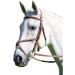 Shires Avignon Mexican Grackle Bridle - Full Size Oak | International Shipping Available - Buy Online on GoSupps.com