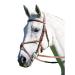 Shires Avignon Mexican Grackle Bridle Full Size Havana