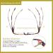 Cojwis 4 Pack Women's Reading Glasses - Stylish Patterns Spring Hinges 2.00x Magnification 4 Colors - Buy Online on GoSupps.com