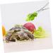 ORFOFE Reptile Feeding Clip Aquarium Pipette Feeding Tools Snake Tong Silver Stainless Steel - Buy Online on GoSupps.com