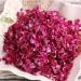 Dried rose petals1.76oz/50g Clean and complete rose petals - Natural Edible Flowers - Non-GMO - Caffeine-free - Use in Tea Baking Crafting - Buy Online on GoSupps.com