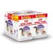 Royal Canin Sterilised in Jelly Adult Wet Cat Food (24 x 85g) 1 count (Pack of 24) - Buy Online on GoSupps.com