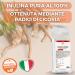 Bio Line - Inuline en poudre de chicor e soluble dans l'eau 1 kg fibre v g tale pour r gularit intestinale produits alimentaires naturels sans gluten et excipients z ro sucre et mati res grasses - Buy Online on GoSupps.com