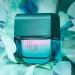 natura - Linha Ilia (Completa) - Deo Parfum Feminino 50 Ml - (Ilia (Complete) Collection - Eau de Toilette for Women 1.7 Fl Oz) - Buy Online on GoSupps.com